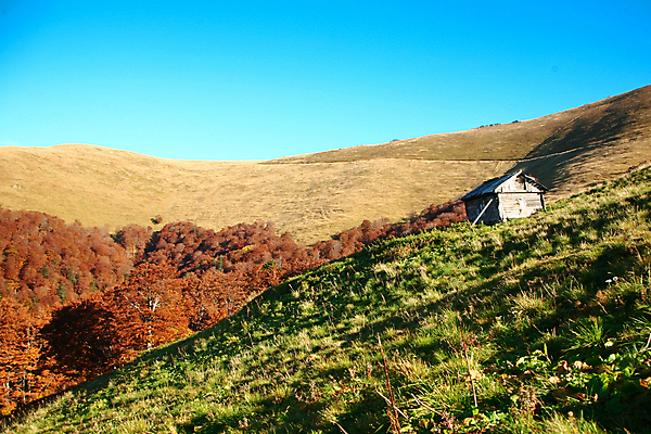 포토 JPG 해외이미지 나무 오렌지 자연 하늘 산 주택 풍경 사람없음 파란색 가을 황무지 땅 언덕 지역 헛간 외양간 해외202004 해외포토 식물 계절 컬러 과일 건물 생태계 저장고 파일형식 이미지허브