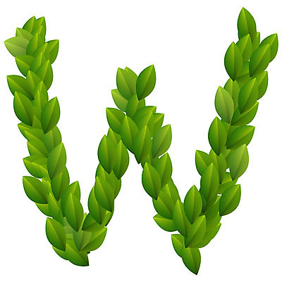 EPS 해외이미지 나무 식물 캐릭터 디자인 알파벳 계절 백그라운드 컨셉 잎 꽃무늬 일러스트 텍스트 자연 그래픽 초록색 여름 세트 컬러풀 환경 정원 봄 활발 흰색 신선 편지 수집 심볼 오브젝트 사인 에코 유기농 생태계 질감 생물학 W 타입 내추럴 고립 바이오 생태학 스타일 해외202004 해외일러스트 일러캐릭터 웰빙 영어 교육 꽃 컬러 무늬 파일형식 벡터 이미지허브