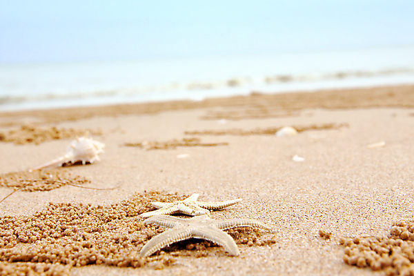 포토 JPG 해외이미지 계절 별 모래 파도 백그라운드 하늘 불가사리 사람없음 야외 가로 파란색 햇빛 심플 갸우뚱 해외202004 해외포토 자연요소 바다 컬러 모션 극피동물 태양 파일형식 이미지허브