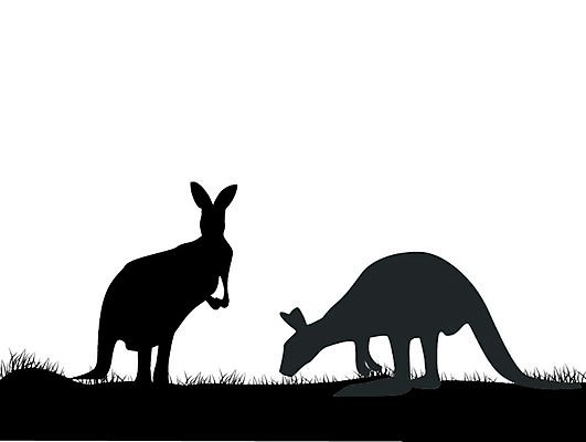 EPS 해외이미지 동물 실루엣 백그라운드 밭 일러스트 자연 하늘 산 그림자 미술 풍경 야외 장식 여름 점프 검은색 어둠 호주 야간 사파리 질감 영토 북쪽 캥거루 내추럴 그런지 옛날 오지 전국 평야 해외202004 해외일러스트 자연요소 계절 컬러 농업 포유류 모션 문화예술 촬영기법 오세아니아 방향 생태계 파일형식 벡터 이미지허브