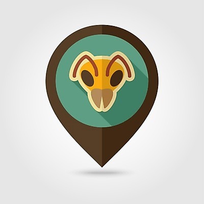 JPG EPS 해외이미지 한마리 일러스트 사람없음 농장 꿀벌 위치 양봉 양봉업 해외202004 해외일러스트 1 농업 벌_곤충 파일형식 벡터 이미지허브