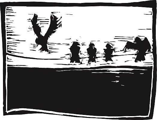 EPS 해외이미지 일러스트 조류 하늘 휴식 빨랫줄 전화기 깃털 철사 목판화 해외202004 해외일러스트 동물 줄 컨셉 파일형식 벡터 이미지허브