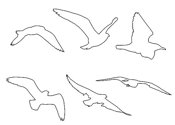 EPS 해외이미지 동물 캐릭터 디자인 실루엣 야생동물 백그라운드 날개 일러스트 자연 벽지 갈매기 조류 동물원 미술 그래픽 장식 세트 검은색 페인트 자유 흰색 그룹 작음 만화 스케치 수집 심볼 깃털 사인 그림 내추럴 고립 엘리먼트 해외202004 해외일러스트 일러캐릭터 컬러 컨셉 문화예술 촬영기법 크기 생태계 파일형식 벡터 이미지허브