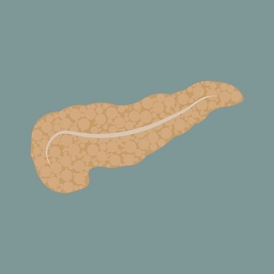 EPS 해외이미지 모델 디자인 포스터 과학 신체 일러스트 해부 건강 미술 사람 내부 그래픽 약 흰색 오르간 질병 만화 심볼 그림 생물학 시스템 방광 췌장 고립 당뇨병 돌봄 복근 엘리먼트 포도당 해외202004 해외일러스트 교육 컬러 의학 모션 근육 문화예술 장기_의학 건반악기 비뇨기관 파일형식 벡터 이미지허브