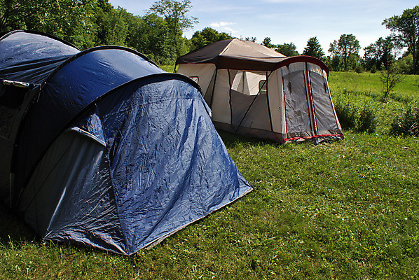 포토 JPG 해외이미지 나무 여행 2 밭 자연 하늘 휴가 휴식 텐트 풍경 사람없음 야외 가로 초록색 여름 파란색 햇빛 맑음 침묵 트래킹 기쁨 캠핑 하이킹 자유 시골 잠 체험 고독 숲 땅 탈출 캠핑장 멀리 원정 해외202004 해외포토 식물 계절 감정 컬러 컨셉 농업 레저 날씨 캠핑도구 태양 소리 생태계 파일형식 이미지허브