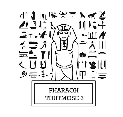 EPS 해외이미지 백그라운드 일러스트 아프리카 이집트 3 책 골동품 덮개 중앙 왕 지중해 북쪽 동쪽 미라 카이로 파라오 멤피스디자인 해외202004 해외일러스트 디자인 나라 바다 뚜껑 방향 파일형식 벡터 이미지허브