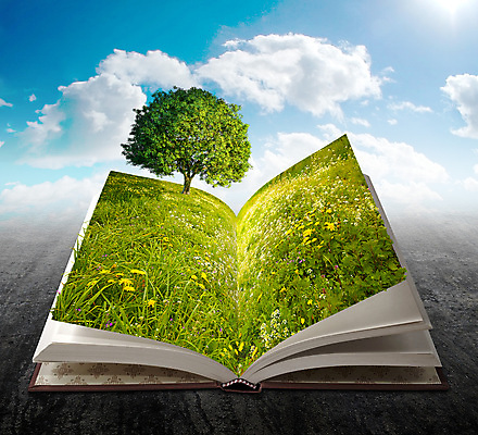 포토 JPG 해외이미지 나무 꽃 종이 문화 밭 일러스트 학교 상상 자연 풍경 사람없음 책 초록색 독서 환경 오픈 읽기 페이지 공상 생태학 해외202004 해외포토 식물 교육 컬러 농업 모션 생태계 파일형식 이미지허브