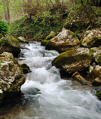 포토 JPG 해외이미지 식물 계절 공원 잎 자연 산 국립공원 이끼 풍경 사람없음 야외 초록색 물 강 봄 폭포 흐름 가을 바위 개울 숲 순수 속도 암초 해외202004 해외포토 자연요소 공공시설 컬러 컨셉 돌_바위 생태계 파일형식 이미지허브