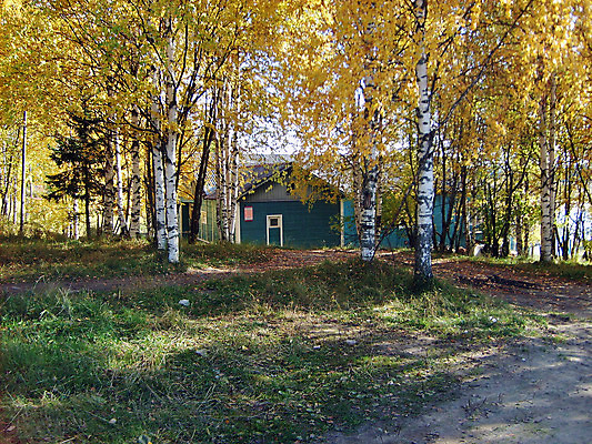 포토 JPG 해외이미지 나무 공원 여행 잎 자연 하늘 주택 풍경 사람없음 야외 정원 가을 러시아 지역 북쪽 자작나무 해외202004 해외포토 식물 계절 공공시설 유럽 건물 방향 생태계 파일형식 이미지허브