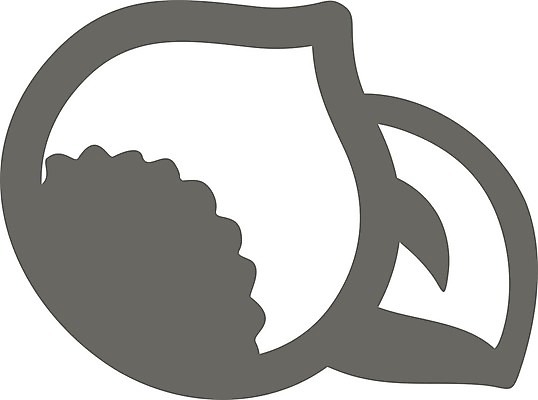 EPS 해외이미지 디자인 음식 다이어트 과일 일러스트 건강 견과류 수확 가을 달콤 심볼 사인 유기농 윤곽 추수감사절 내추럴 숙성 채식주의자 개암 해외202004 해외일러스트 웰빙 계절 열매 기독교 농업 맛 채식 파일형식 벡터 식물 산업 종교 컨셉 이미지허브