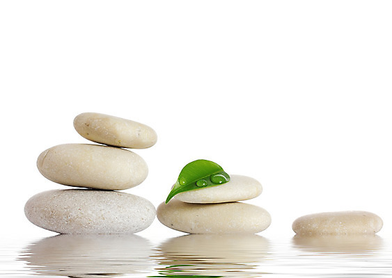 포토 JPG 해외이미지 라이프스타일 웰빙 꽃 선 컨셉 잎 자연 추상 휴식 건강 미술 사람없음 치료 초록색 쌓기 스파 화목 침묵 바위 흰색 마사지 대나무 오브젝트 테라피 흙더미 고립 해외202004 해외포토 나무 식물 컬러 무늬 의학 모션 문화예술 생활 뷰티 소리 흙 돌_바위 생태계 파일형식 더미 이미지허브