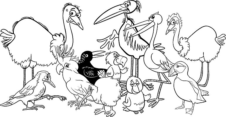 EPS 해외이미지 클립아트 동물 캐릭터 행복 야생동물 일러스트 자연 조류 흑백 동물원 키위 세트 유머 만화 수집 깃털 그림 부리 앵무새 타조 까마귀 색칠공부 황새 해외202004 해외일러스트 일러캐릭터 감정 과일 촬영기법 학습 색칠 생태계 파일형식 벡터 이미지허브