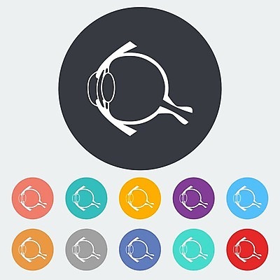 EPS 해외이미지 과학 신체 일러스트 부분 해부 건강 사람 약 오르간 눈동자 생물학 시력 비전 붓꽃 안과 해외202004 해외일러스트 교육 꽃 의학 병원 눈_신체부위 건반악기 파일형식 벡터 이미지허브