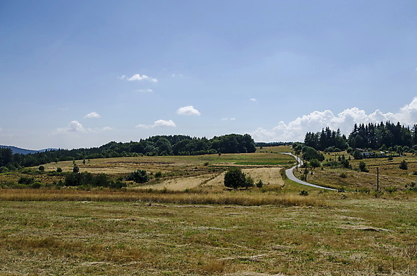 포토 JPG 해외이미지 나무 구름 계절 백그라운드 잎 밭 자연 하늘 산 사람없음 초록색 여름 파란색 컬러풀 노란색 숲 불가리아 해외202004 해외포토 자연요소 식물 컬러 농업 생태계 파일형식 남유럽 이미지허브
