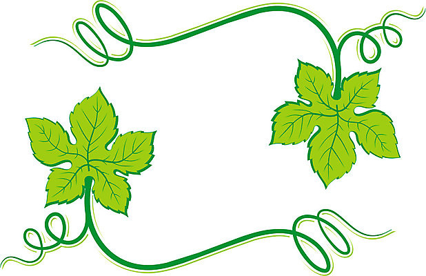 EPS 해외이미지 식물 디자인 음료 백그라운드 잎 일러스트 포도 프레임 장식 초록색 라벨 와인 소용돌이 나뭇가지 화려 사인 초대 포도나무 해외202004 해외일러스트 나무 컬러 컨셉 과일 주류 회오리 과일나무 파일형식 벡터 이미지허브