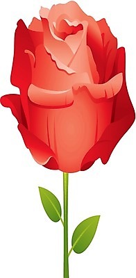 EPS 해외이미지 식물 기념일 꽃잎 꽃 꽃다발 백그라운드 잎 꽃무늬 데이트 일러스트 자연 결혼식 휴가 발렌타인데이 선물 사랑 빨간색 초록색 장미 벚꽃 나뭇가지 축하 신용카드 가시 유혹 심볼 오브젝트 사인 싱글 아로마 내추럴 엘리먼트 완전 해외202004 해외일러스트 나무 감정 컬러 결혼 컨셉 무늬 데이이벤트 이벤트 금융 생태계 파일형식 벡터 이미지허브