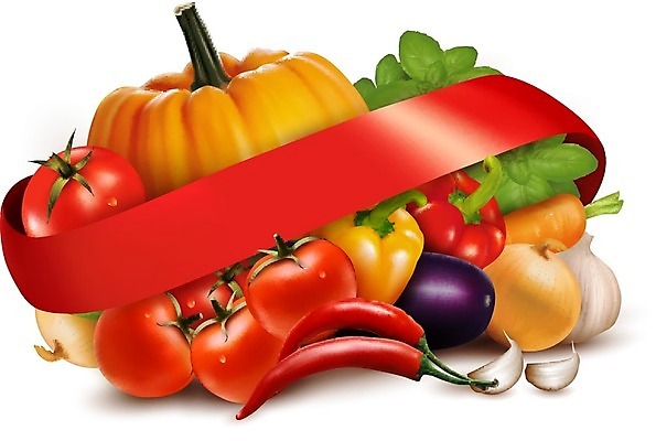 EPS 해외이미지 디자인 배너 리본 음식 백그라운드 컨셉 농업 다이어트 토마토 채소 오렌지 일러스트 자연 고추 호박 양파 오이 감자 파프리카 프레임 건강 마늘 요리 빨간색 초록색 컬러풀 보라색 당근 샐러드 신선 먹기 향신료 오브젝트 후추 모음 바질 건강식 내추럴 꼬투리 숙성 카피스페이스 해외202004 해외일러스트 산업 컬러 과일 모션 뿌리채소 한글 공백 생태계 향미료 파일형식 벡터 이미지허브