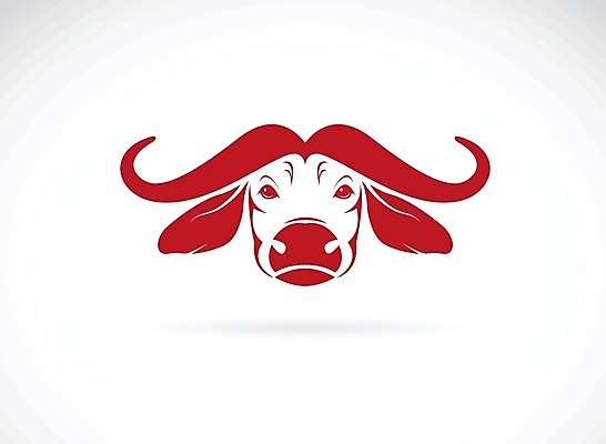 EPS 해외이미지 동물 남자 얼굴 야생동물 스포츠 일러스트 포유류 아프리카 자연 뿔 동물원 미술 빨간색 머리 힘 수확 분노 흰색 소 위험 들소 문신 심볼 사파리 황소 사냥 귀 나쁜 고립 공격적 동물상 마스코트 해외202004 해외일러스트 감정 나라 컬러 컨셉 농업 문화예술 사람 신체부위 조형물 생태계 파일형식 벡터 이미지허브