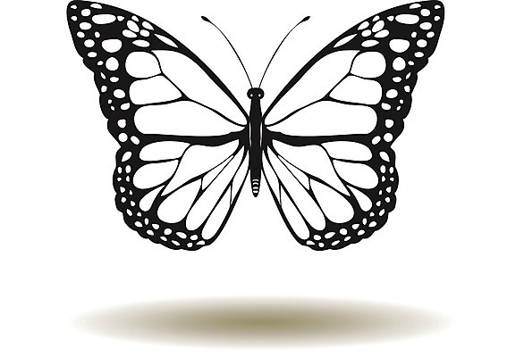 EPS 해외이미지 디자인 계절 나비 곤충 백그라운드 패턴 날개 일러스트 자연 벽지 추상 미술 그래픽 장식 여름 유행 봄 수확 직물 인쇄 그림 질감 복고 포장소품 스타일 해외202004 해외일러스트 동물 무늬 농업 포장 문화예술 오브젝트 생태계 포장재료 파일형식 벡터 이미지허브