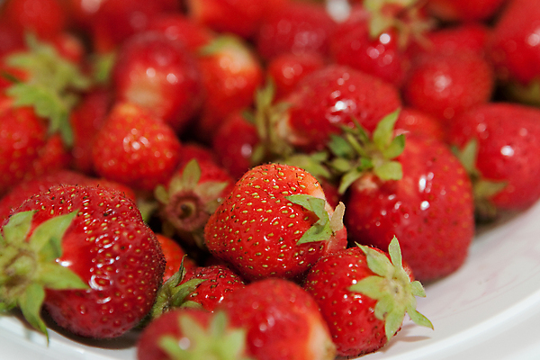 포토 JPG 해외이미지 열매 음식 백그라운드 과일 딸기 디저트 건강 사람없음 신선 달콤 아침식사 해외202004 해외포토 식물 식사 맛 파일형식 이미지허브