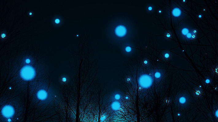 포토 JPG 해외이미지 나무 실루엣 별 백그라운드 겨울 공 자연 하늘 불 동화 사슴 전등 풍경 사람없음 목재 빛 컬러풀 태양 3D 우주 검은색 어둠 활발 추위 나뭇가지 소나무 보호 야간 숲 번개 북쪽 마법 전나무 공터 오로라 내추럴 나쁜 동물상 진짜 현상 해외202004 해외포토 자연요소 식물 계절 컬러 컨셉 재료 포유류 자연현상 날씨 조명 촬영기법 조형물 방향 디지털합성 생태계 파일형식 이미지허브