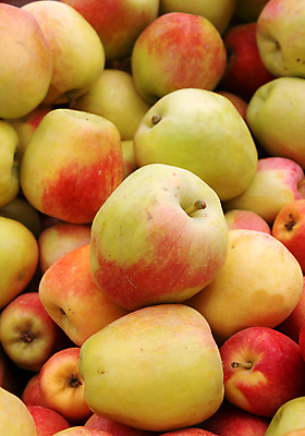 포토 JPG 해외이미지 음식 줄기 백그라운드 농업 다이어트 가방 과일 자연 탁자 건강 씨앗 사람없음 목재 빨간색 초록색 여름 농장 정원 식사 수확 가을 흰색 신선 그룹 시장 달콤 맛 사과 먹기 순수 유기농 날것 내추럴 숙성 채식주의자 해외202004 해외포토 나무 식물 웰빙 잡화 계절 산업 컬러 가구 컨셉 재료 모션 생태계 채식 파일형식 이미지허브