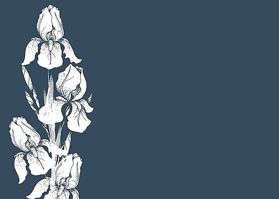 EPS 해외이미지 식물 손 디자인 꽃잎 꽃 선 꽃다발 백그라운드 잎 꽃무늬 패턴 일러스트 자연 수채화 미술 그래픽 장식 초록색 여름 파란색 정원 보라색 검은색 봄 수확 벚꽃 흰색 나뭇가지 인사 붓 신용카드 개화 스케치 그림 붓꽃 내추럴 고립 엘리먼트 해외202004 해외일러스트 나무 계절 컬러 무늬 농업 문화예술 신체부위 금융 예절 생태계 파일형식 벡터 이미지허브