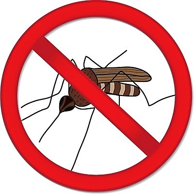 EPS 해외이미지 동물 곤충 백그라운드 일러스트 경고 그래픽 빨간색 약 금지 흰색 열 바이러스 확대 해충 벌레 질병 심볼 사인 생물학 전염 반대 찌르기 토막 고립 그만 모기 전염병 해외202004 해외일러스트 교육 컬러 의학 모션 감염 파일형식 벡터 이미지허브