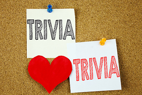 포토 JPG 해외이미지 배너 교육 문화 백그라운드 컨셉 인터넷 텍스트 통신 타이포그라피 사람없음 목재 단어 스터디 컬러풀 정보 흰색 우승 퀴즈 낟알 질문 스마트 사인 평가 타입 규격 사실 헬프 해외202004 해외포토 나무 문자 컬러 재료 학습 최고 도움 파일형식 이미지허브