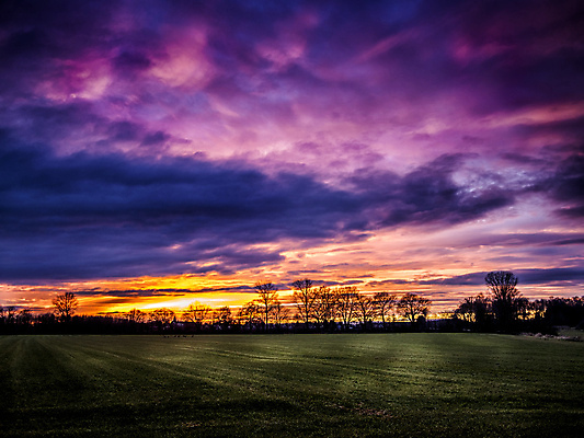 포토 JPG 해외이미지 식물 구름 계절 밭 농업 자연 하늘 날씨 그림자 풍경 잔디 사람없음 빨간색 초록색 여름 파란색 빛 햇빛 태양 환경 계곡 검은색 어둠 황혼 일몰 성장 시골 저녁 땅 장면 폭풍 땅바닥 웅장함 수평선 해외202004 해외포토 자연요소 산업 컬러 바닥 노을 야간 생태계 파일형식 이미지허브