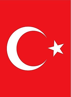 EPS 해외이미지 템플릿 디자인 배너 유럽 아시아 별 백그라운드 컨셉 곡선 일러스트 동양인 빨간색 빛 흰색 깃발 직물 중앙 초승달 실크 심볼 눈금 신분 동쪽 칠면조 애국심 휘장 잔물결 전국 접기 정부 지리 정확 해외202004 해외일러스트 자연요소 나라 물결 선 컬러 모션 조류 인종 달 방향 파일형식 벡터 이미지허브