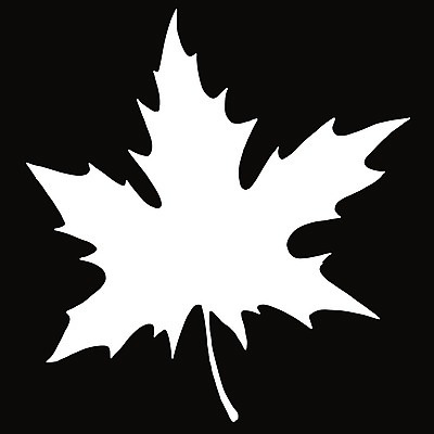 EPS 해외이미지 나무 식물 디자인 계절 실루엣 백그라운드 단풍 잎 캐나다 일러스트 자연 추상 흑백 미술 그래픽 여름 환경 검은색 미국 봄 수확 가을 흰색 나뭇가지 낙서 숲 스케치 심볼 오브젝트 사인 싱글 그림 내추럴 고립 생태학 엘리먼트 스타일 해외202004 해외일러스트 교육 컬러 북아메리카 무늬 농업 문화예술 촬영기법 생태계 파일형식 벡터 이미지허브