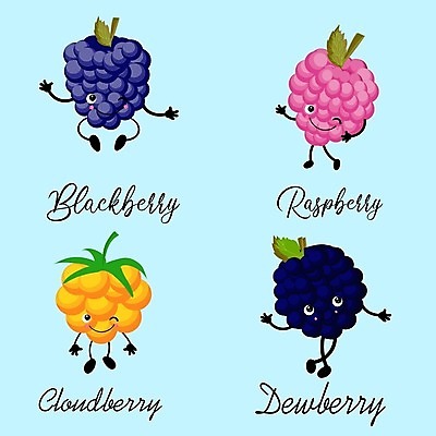 EPS 해외이미지 열매 음식 채소 과일 일러스트 재료 딸기 건강 사탕 세트 컬러풀 검은색 화장품 수확 신선 체리 달콤 사과 잼 수집 레몬 오브젝트 흰배경 유기농 블루베리 날것 산딸기 라임 아로마테라피 블랙베리 고립 구스베리 월귤 채식주의자 크랜베리 해외202004 해외일러스트 식물 웰빙 컬러 백그라운드 농업 디저트 뷰티 흰색 소스_음식 맛 채식 테라피 파일형식 벡터 이미지허브