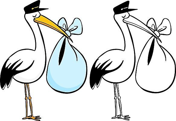 EPS 해외이미지 클립아트 동물 디자인 야생동물 어린이 날개 일러스트 자연 조류 새로움 미술 그래픽 장식 책 검은색 흰색 아기 신생아 만화 배송 깃털 부리 엘리먼트 황새 해외202004 해외일러스트 컬러 컨셉 문화예술 사람 생태계 파일형식 벡터 이미지허브