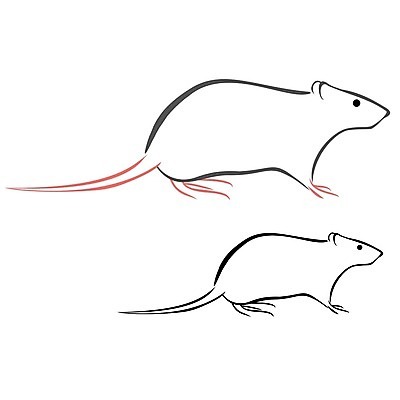 EPS 해외이미지 동물 캐릭터 1 일러스트 포유류 그래픽 머리 흰색 해충 쥐 설치류 만화 스케치 심볼 그림 꼬리 고립 해외202004 해외일러스트 일러캐릭터 컬러 미술 신체부위 벌레 파일형식 벡터 이미지허브