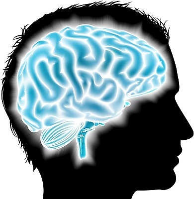 EPS 해외이미지 교육 실루엣 얼굴 컨셉 생각 일러스트 해부 상상 아이디어 엑스레이 건강 창조 사람 파란색 빛 머리 마음 불안 뇌 폭풍 광 지능 해외202004 해외일러스트 감정 컬러 의학 날씨 촬영기법 신체부위 파일형식 벡터 이미지허브