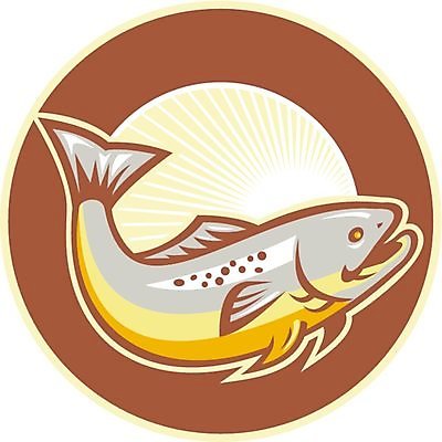 EPS 해외이미지 야생동물 일러스트 어류 햇빛 점프 점 얼룩 원형 복고 민물 송어 해외202004 해외일러스트 도형 동물 모션 태양 수중동물 파일형식 벡터 이미지허브