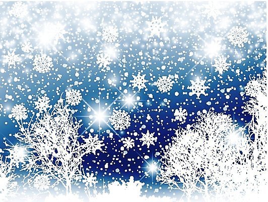 EPS 해외이미지 나무 백그라운드 크리스마스 겨울 일러스트 자연 추상 휴가 불꽃 새로움 기념 풍경 빛 인사 눈송이 야간 기적 연도 해외202004 해외일러스트 자연요소 식물 계절 기념일 컨셉 무늬 불 눈_날씨 예절 생태계 파일형식 벡터 이미지허브