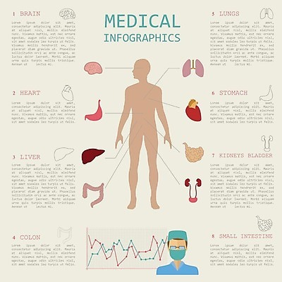 EPS 해외이미지 템플릿 디자인 과학 컨셉 신체 일러스트 해부 그래프 골격 건강 병원 주사기 사람 내부 그래픽 세트 알약 약 자료 인포그래픽 의사 정보 하트 오르간 신장 치아 DNA 구급차 심볼 사인 뇌 생물학 간 시스템 돌봄 엘리먼트 해외202004 해외일러스트 모양 교육 의학 의료기기 모션 자동차 의료진 소화기관 장기_의학 건반악기 비뇨기관 생명공학 파일형식 벡터 이미지허브