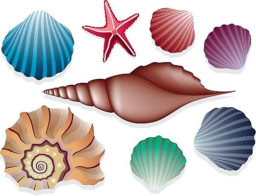 EPS 해외이미지 동물 디자인 별 야생동물 바다 여행 백그라운드 곡선 일러스트 자연 휴가 조개 나선형 빨간색 초록색 여름 파란색 빛 세트 컬러풀 갈색 노란색 환경 보라색 껍질 수집 질감 리빙 엘리먼트 취급주의 해외202004 해외일러스트 자연요소 계절 선 컬러 무늬 어패류 경고 생태계 파일형식 벡터 이미지허브