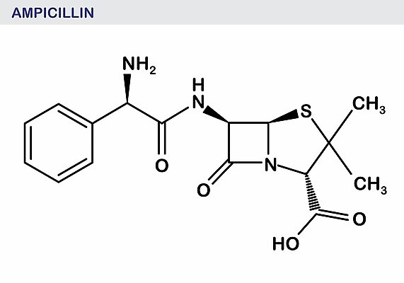 EPS 해외이미지 모델 교육 과학 일러스트 골격 치료 스터디 약 질병 그림 감염 원자 미생물 공식 박테리아 산소 조제 반항 알레르기 곰팡이 구성 수소 유황 화학물질 항생제 해외202004 해외일러스트 의학 모션 생물 학습 원소 화학 만들기 파일형식 벡터 이미지허브