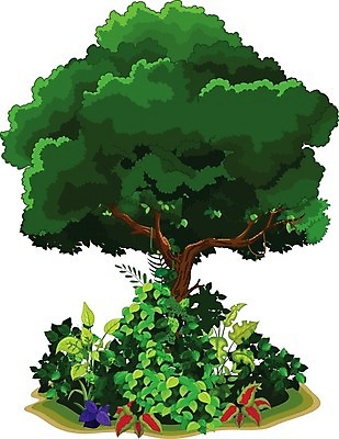 EPS 해외이미지 나무 식물 공원 종이 잎 곡선 과일 일러스트 자연 풍경 목재 장식 초록색 여름 갈색 환경 신선 달콤 보호 숲 큼 그림 뿌리 코믹 자원 내추럴 고립 땅바닥 옛날 해외202004 해외일러스트 계절 공공시설 선 컬러 컨셉 재료 바닥 맛 크기 생태계 파일형식 벡터 이미지허브