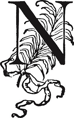 EPS 해외이미지 선 일러스트 미술 장식 검은색 수확 흰색 N 편지 그림 판화 해외202004 해외일러스트 알파벳 컬러 농업 문화예술 파일형식 벡터 이미지허브