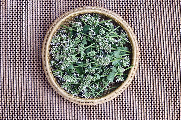 포토 JPG 해외이미지 식물 라이프스타일 접시 계절 꽃잎 백그라운드 잎 꽃무늬 자연 탁자 건강 사람없음 목재 초록색 여름 약 머리 바구니 정원 시골 신선 닫기 차 상품 수집 민트 허브 유기농 아로마테라피 내추럴 해외202004 해외포토 나무 식기 웰빙 꽃 음료 컬러 가구 무늬 재료 의학 모션 생활 신체부위 생태계 테라피 파일형식 이미지허브