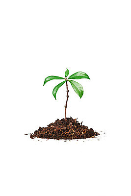 포토 JPG 해외이미지 모양 나무 식물 백그라운드 컨셉 전구 자연 유리 주택 실내 사람없음 초록색 빛 글로벌 태양 새싹 환경 힘 재활용 행성 에너지 성장 흰색 램프 투명 스마트 백열등 에코 생태계 문제 문제풀이 바둑 유지 고립 돌봄 생태학 텅스텐 해외202004 해외포토 자연요소 교육 컬러 모션 재질 놀이 조명 내부 건물 우주 원소 친환경 파일형식 이미지허브