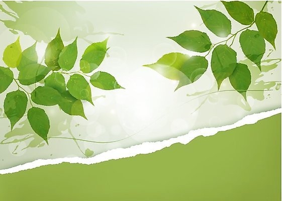 EPS 해외이미지 나무 식물 배너 공원 종이 백그라운드 컨셉 잎 농업 일러스트 자연 추상 프레임 야외 초록색 태양 라벨 새싹 환경 정원 맑음 봄 공백 나뭇가지 신선 신용카드 숲 에코 원예 질감 브런치 내추럴 바이오 생태학 해외202004 해외일러스트 자연요소 계절 공공시설 교육 산업 컬러 무늬 날씨 취미 금융 식사 생태계 파일형식 벡터 이미지허브