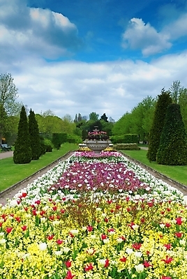 포토 JPG 해외이미지 나무 식물 구름 계절 공원 꽃 여행 잎 밭 자연 하늘 손바닥 풍경 잔디 사람없음 야외 빨간색 초록색 여름 파란색 야자수 정원 봄 활발 시골 숲 언덕 조경 장면 스리랑카 수평선 해외202004 해외포토 자연요소 손 공공시설 아시아 컬러 컨셉 농업 생태계 파일형식 이미지허브