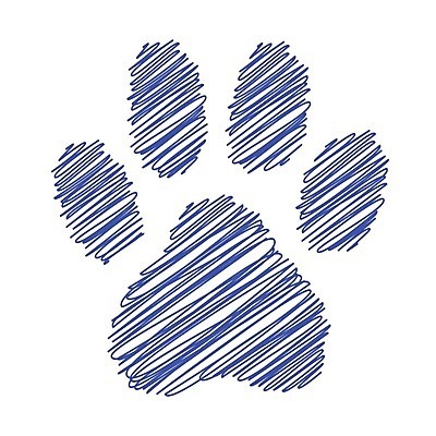 EPS 해외이미지 모양 동물 야생동물 일러스트 프레임 미술 그래픽 검은색 고양이 페인트 줄무늬 흰색 그리기 호랑이 강아지 인쇄 발자국 만화 심볼 윤곽 표범 고립 양발 자취 해외202004 해외일러스트 컬러 무늬 포유류 자국 모션 문화예술 반려동물 개 파일형식 벡터 이미지허브