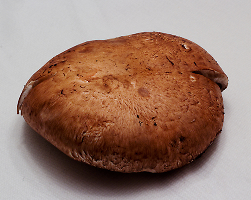 포토 JPG 해외이미지 음식 재료 요리 사람없음 버섯 맛 만족 해외202004 해외포토 감정 컨셉 파일형식 이미지허브