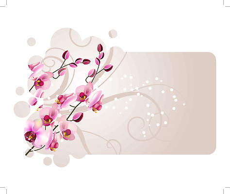 EPS 해외이미지 식물 템플릿 배너 꽃잎 꽃 줄기 분홍색 꽃다발 백그라운드 꽃무늬 패턴 일러스트 자연 휴가 프레임 발렌타인데이 컵 빨간색 여름 빛 정원 봄 벚꽃 나뭇가지 인사 신용카드 개화 난초 그림 호접란 이국적 파스텔톤 해외202004 해외일러스트 나무 식기 계절 컬러 무늬 데이이벤트 금융 예절 생태계 파일형식 벡터 이미지허브